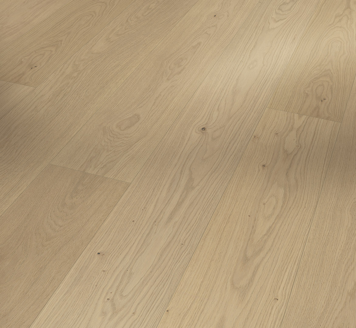 Roble sanded